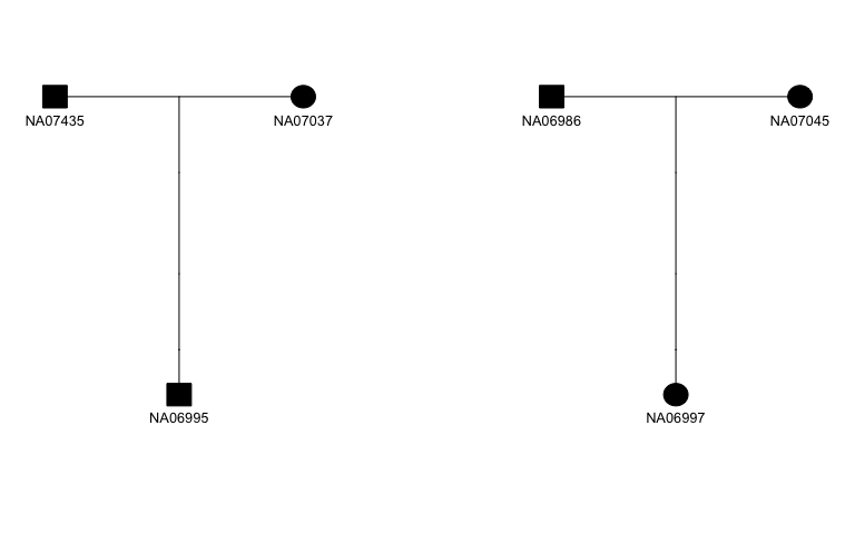 Trios in 1000 Genomes Project family 13291.